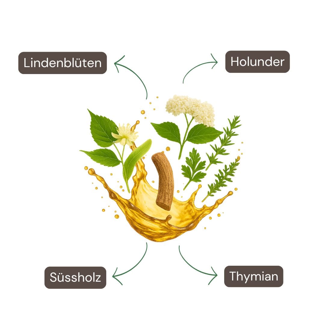 Estratto vegetale di pozione fredda spray 50ml