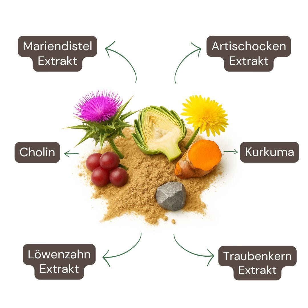 Inhaltsstoffe der Leber Komplex Kapseln von Naturaleza