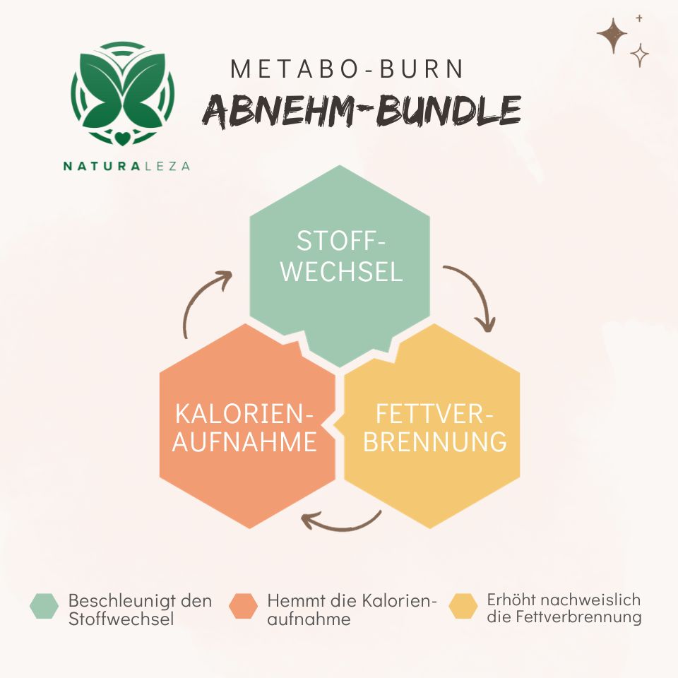
                  
                    MetaboBurn, Abnehm- & Stoffwechsel-Bundle (limitiert)
                  
                