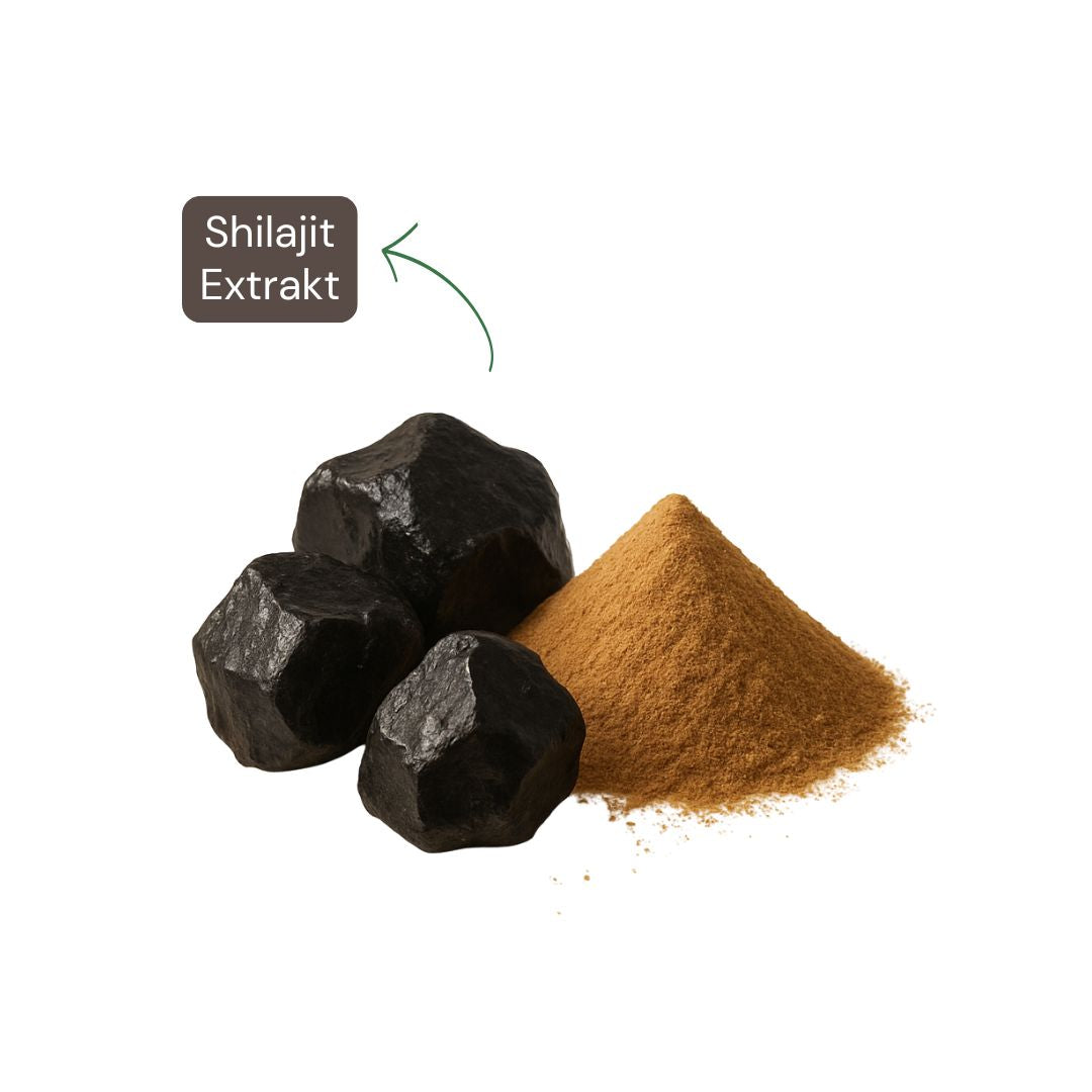 Shilajit Kapseln