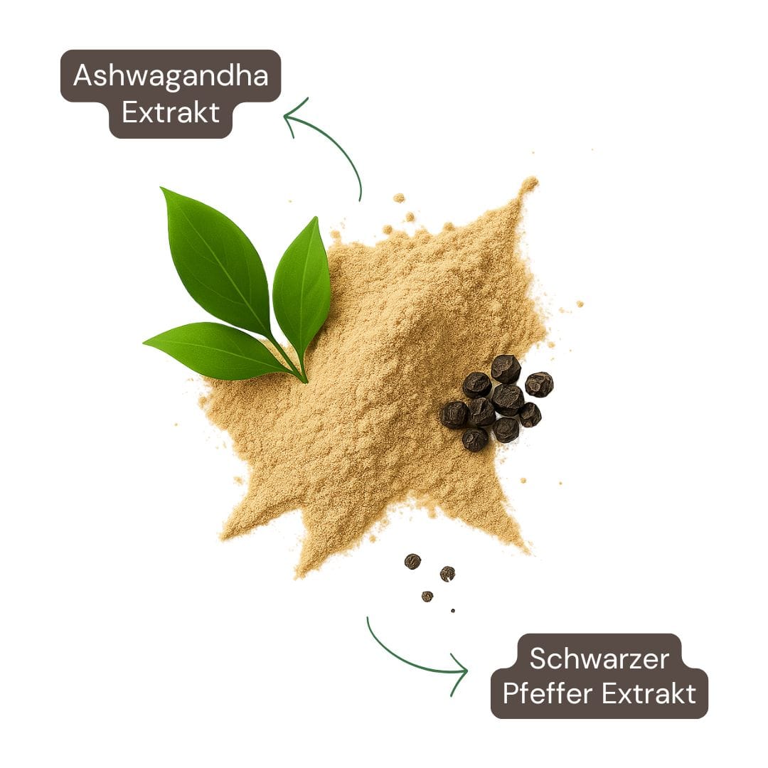 Reiner Ashwagandha-Extrakt – standardisiert auf Withanolide