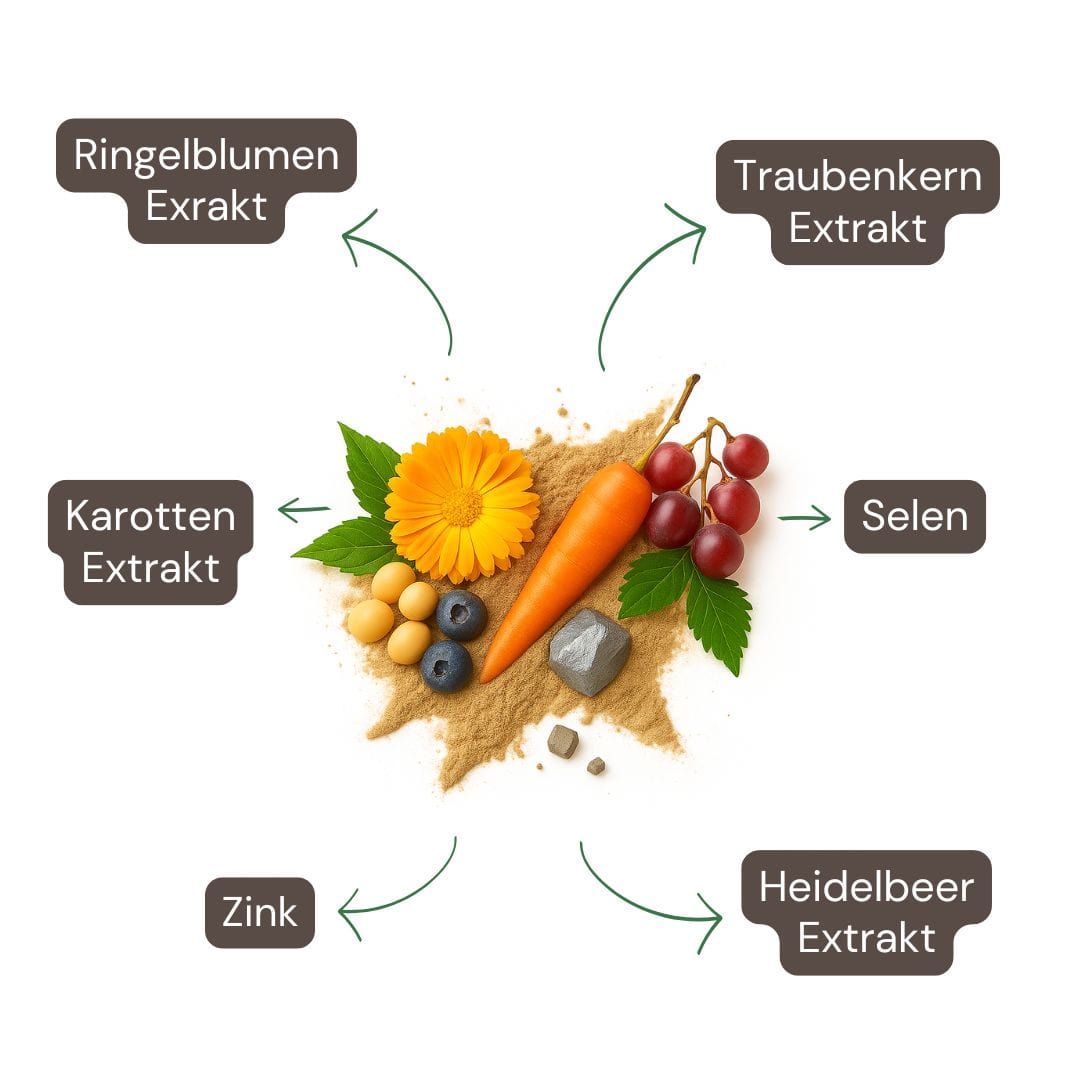 Inhaltsstoffe: Lutein, Heidelbeerextrakt, Vitamin A, Zink, Ringelblumenextrakt, Traubenkernextrakt