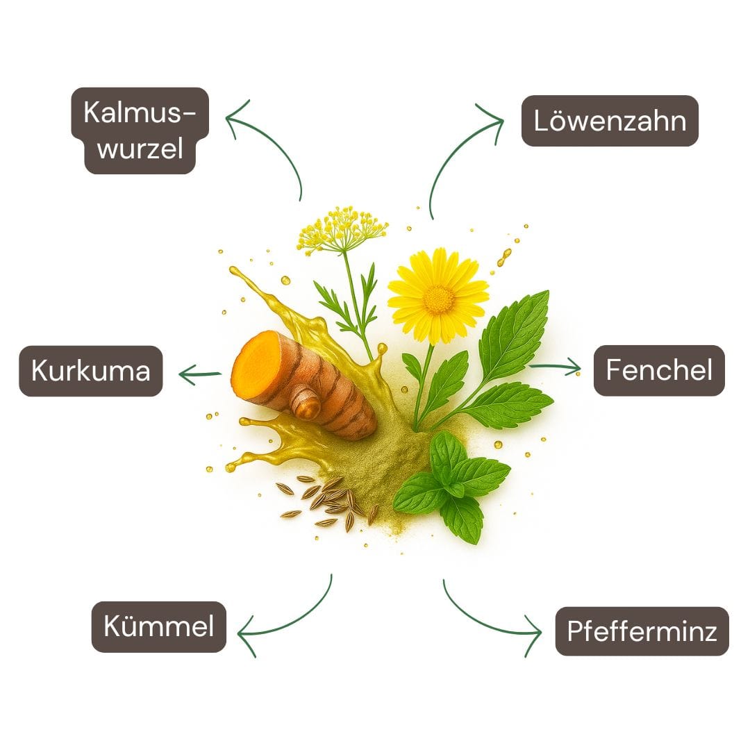 Inhaltsstoffe Bitterstoff-Spray: Kümmel, Fenchel, Kurkuma, Löwenzahn, Pfefferminze, Kalmus – 68 % Alkoholbasis