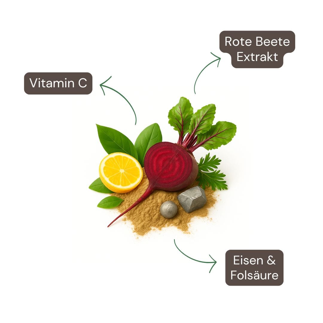 Inhaltsstoffe: Eisen aus Bisglycinat & Rote Beete Extrakt – ideal für Energie, Sauerstofftransport & vegane Ernährung