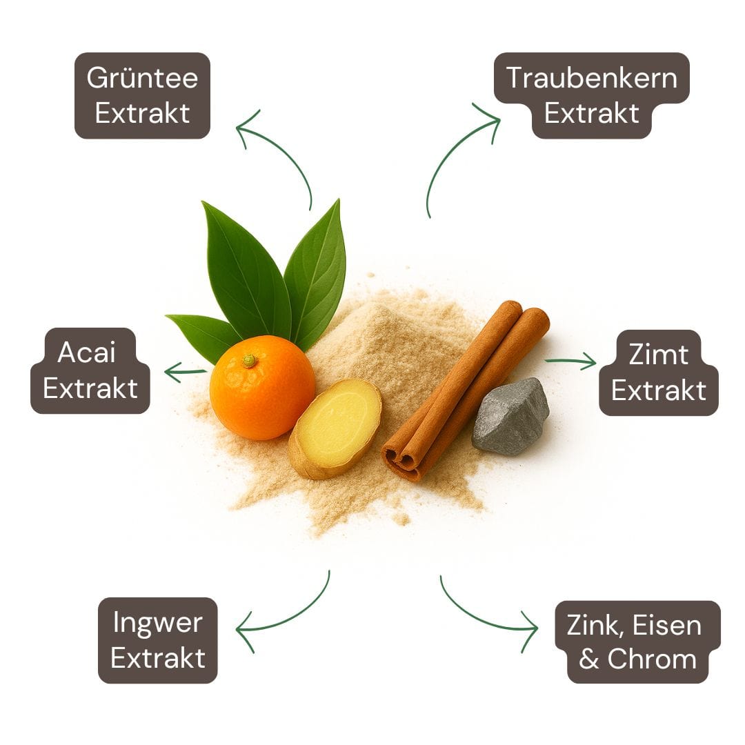 Inhaltsstoffe mit Grüntee, Koffein & L-Carnitin für den Stoffwechsel