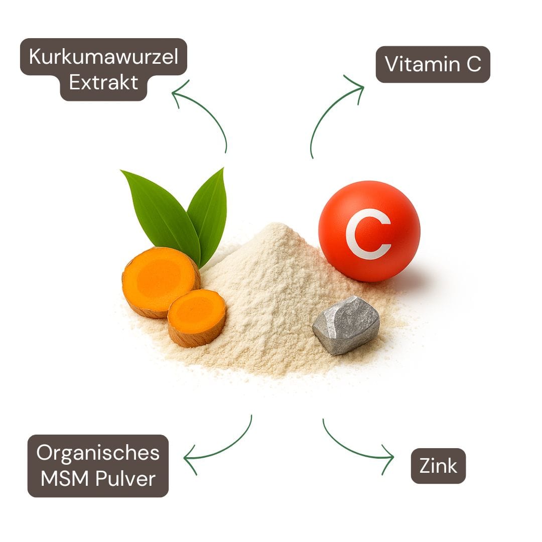 Inhaltsstoffe: MSM, Kurkuma, Zink, Selen & Biotin – Unterstützung für Gelenke, Haut & entzündungshemmende Balance
