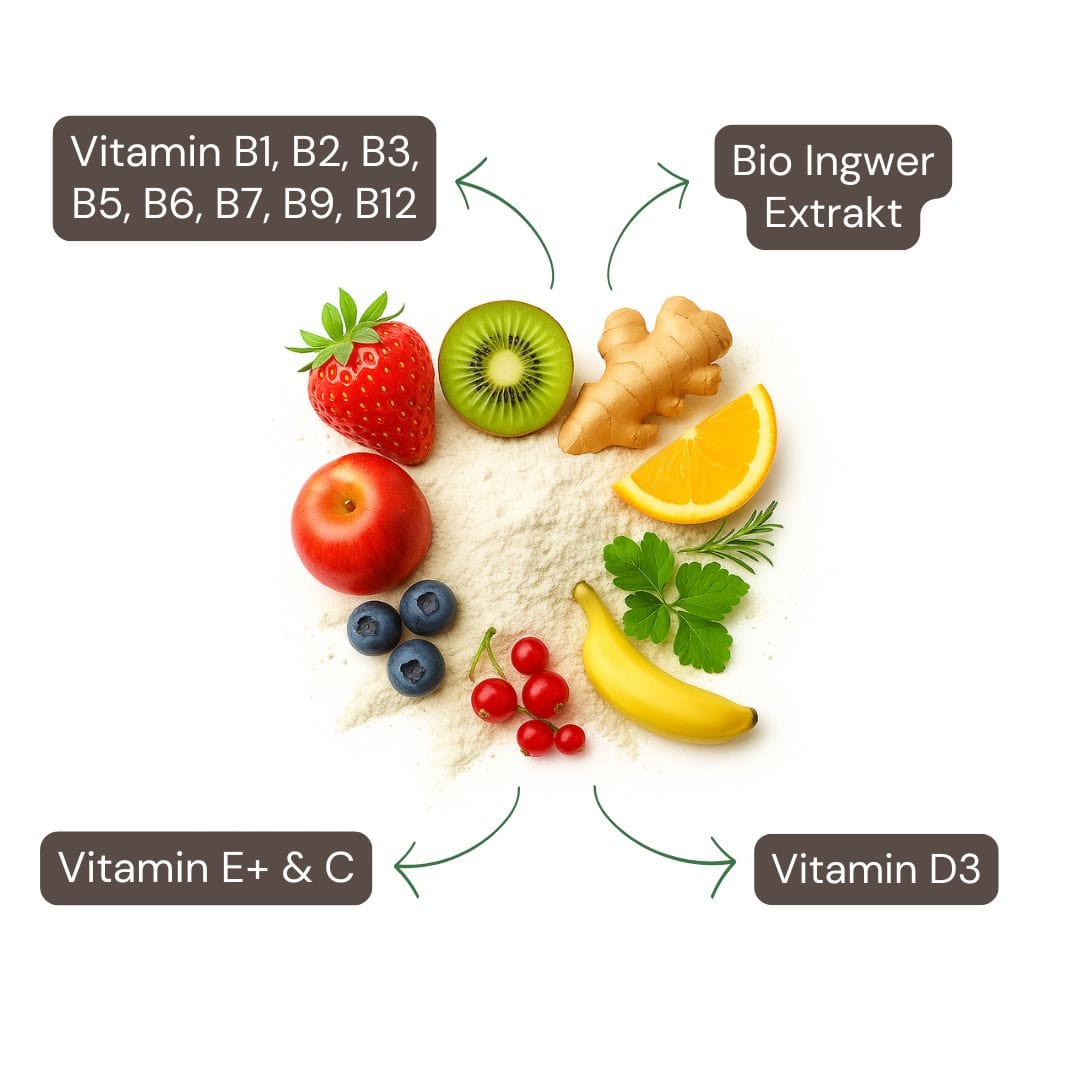 Vitamine A–Z kombiniert mit Bio Ingwer Extrakt – natürliches Multivitamin zur täglichen Unterstützung von Immunsystem & Energie