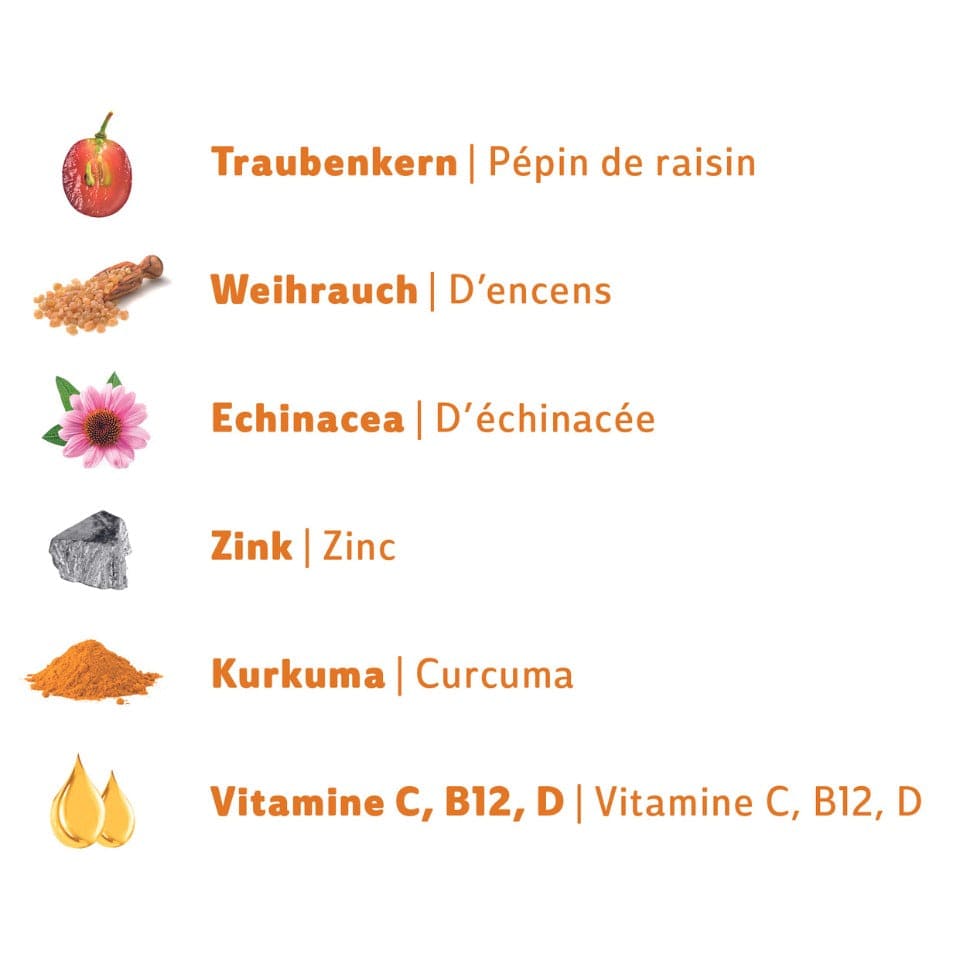 Inhaltsstoffe Swiss Immune Drops Naturaleza