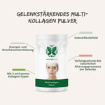 Mobility Plus Gelenk-Bundle