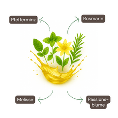 Inhaltsstoffe des Fokus Pokus Pflanzenextrakt-Sprays – natürliche Pflanzenkraft für Konzentration