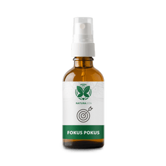 Fokus Pokus Spray mit Melisse, PFefferminz, Rosmarin und Passionsblume – natürliche Konzentrationshilfe