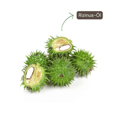 Inhaltsstoffe des Naturaleza Rizinusöls – 100 % reines Öl ohne Zusatzstoffe