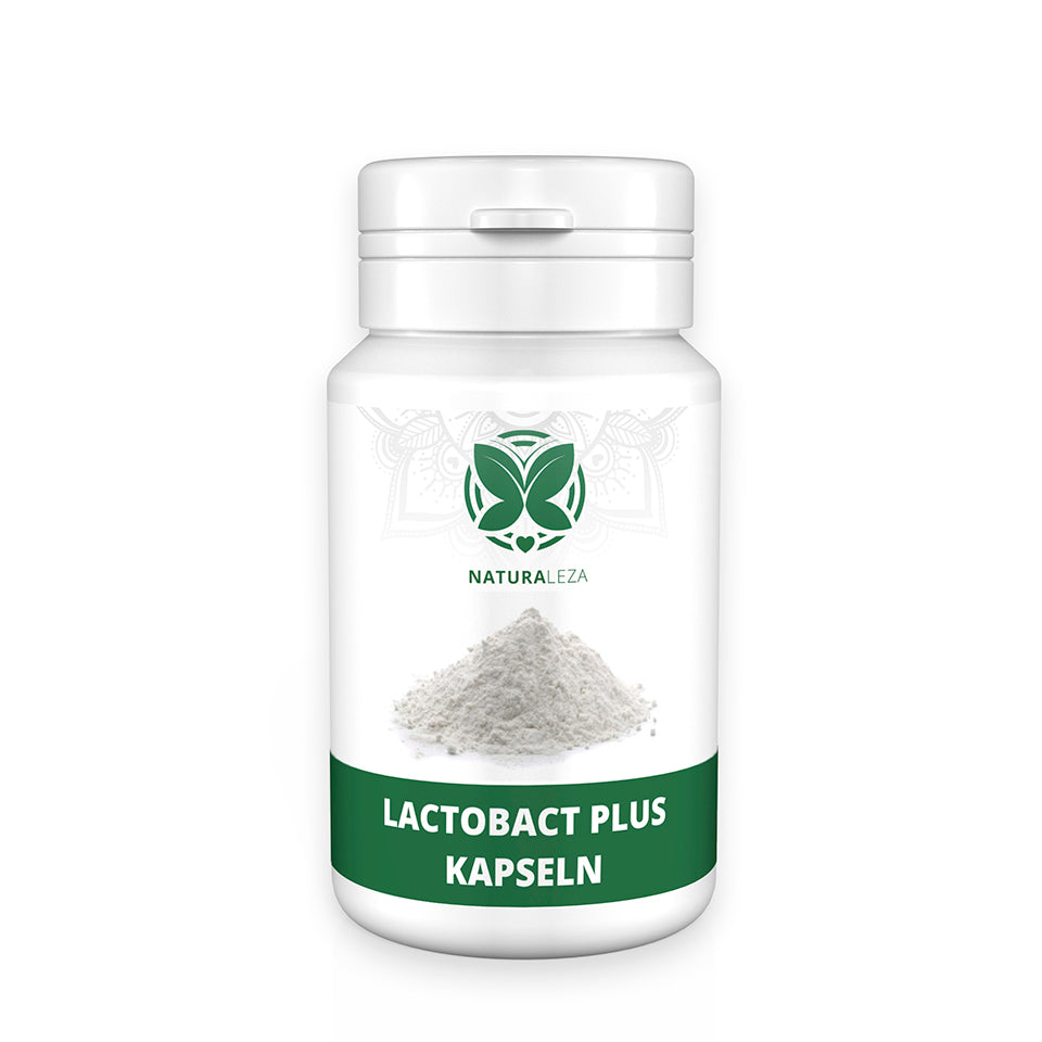 Capsules Lactobact Plus