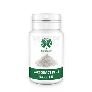 
                  
                    Lactobact Plus capsule
                  
                